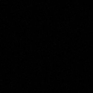 Meet your Posher, Dillon